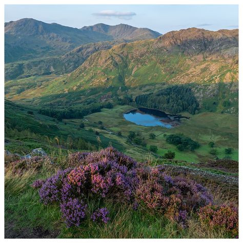 — wanderthewood: The view from Side Pike to Blea... Lake District England, Night Elf, Get Outdoors, Dog Face, Lake District, The View, Mother Earth, Beautiful World, The Great Outdoors