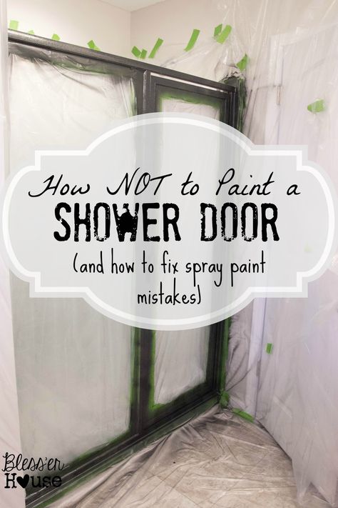 Winter 2015 Project Recap Paint Mistakes, Fix Spray, Painting Shower, Shower Fixtures, Bathroom Redo, Glass Shower Doors, Shower Door, Painting Bathroom, Living Room Paint