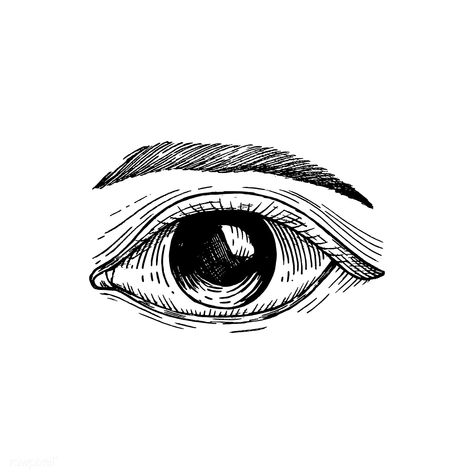 Hand drawn human eye | premium image by rawpixel.com Realistic Eye Drawing, Eye Illustration, Sketching Tips, Eye Sketch, Hand Images, Free Hand Drawing, Small Drawings, Seni Cat Air, Eye Painting