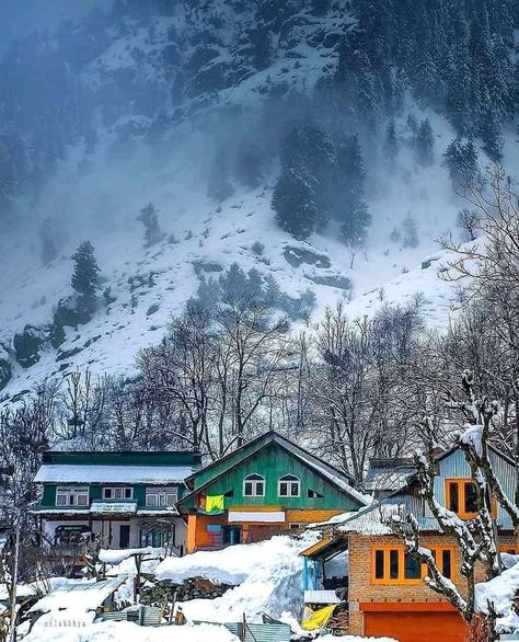 Betab Valley Kashmir, Sri Nagar Kashmir, Winter In Kashmir, Pahalgam Kashmir In Winter, Pehelgam Kashmir, Pahalgam Kashmir Photography, Pahalgam Kashmir Aesthetic, Kashmir Images, Kashmir Pics