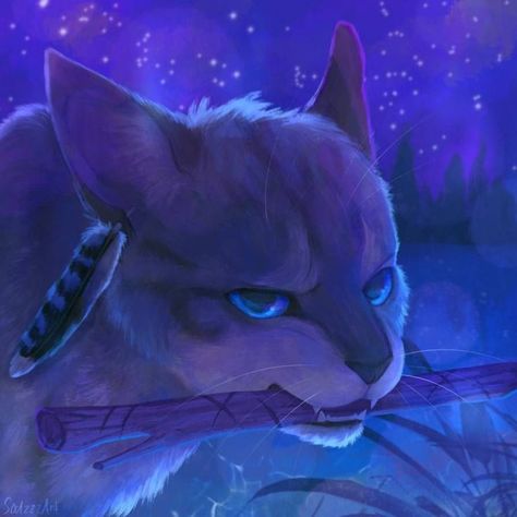 Jay Feather Warrior Cats, Jayfeather Warrior Cats, Warrior Cat Memes, Warrior Cats Series, Warrior Cats Books, Warrior Cats Fan Art, Warrior Cat Drawings, Love Warriors, Warriors Cats