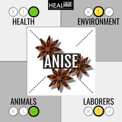 Anise is a spice that has tons of health benefits...anise can be used to treat an upset stomach, gas, a runny nose and more...see all of the wonderful uses for anise by visiting my HEALabel site. #anise #anisebenefits #isanisegoodforyou #whatisanise #isanisehealthy #anisenutrition Anise Magical Properties, Anise Benefits, Anise Seed Magical Properties, Star Anise Benefits, Star Anise Witchcraft Uses, Star Of Anise Benefits Of, Magical Properties Of Star Anise, Stomach Gas, Water Footprint