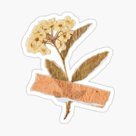 Vintage Tape Sticker, Vintage Stickers Flowers, Tape Aesthetic Sticker, Flowers Stickers Aesthetic, Flowers Aesthetic Stickers, Flower Vintage Aesthetic, Flower Aesthetic Sticker, Vintage Flowers Stickers, Crumpled Up Piece Of Paper