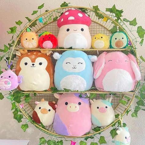 Squishmallow Shelf Display, Organize Squishmallows, Squishmallows Shelf, How To Display Squishmallows, Squishmallow Collection Aesthetic, Squishmallows Organization, Squishmallow Display Ideas, Squishmallow Shelf, Squishmallow Storage Ideas