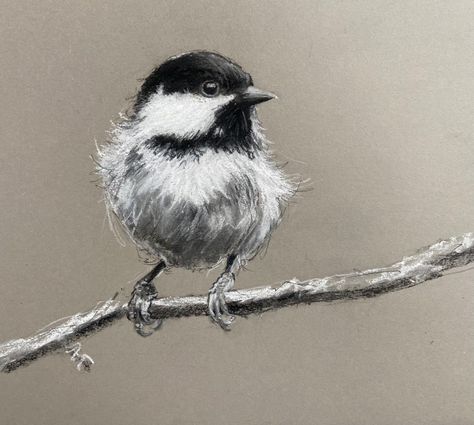 Abstract Charcoal Art, Charcoal Artwork, Magic Runes, Ear Tattoo Ideas, Song Birds, Boho Art Drawings, Bird Sketch, Art Charcoal, Nature Sketch