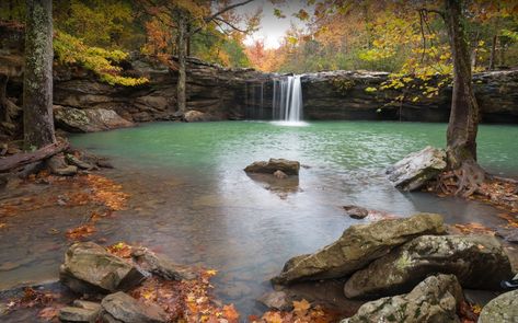 There's more than just a sea of green within Arkansas' Ozark National Forest. Some of the best waterfalls in the state are clustered in the forest! Arkansas Vacation, Arkansas Waterfalls, Arkansas Road Trip, Arkansas Vacations, Ozark National Forest, Arkansas Travel, Falling Water, Hot Springs National Park, Waterfall Adventure