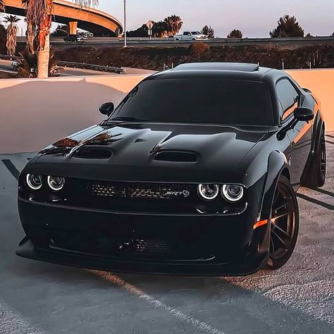 Doj Chalnjer Car, Doge Car, Black Challenger, Doge Challenger, Dodge Challenger Black, Dodge Hellcat, Dodge Challenger Hellcat, Dream Cars Bmw, Challenger Srt Hellcat