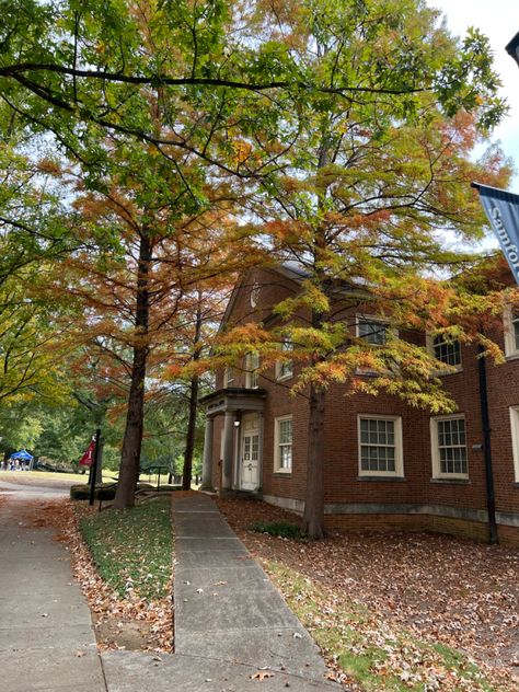 Samford University Gabriella Montez Aesthetic, Gabriella Montez, Samford University, Mona Lisa Smile, Yellow Leaves, Private School, Mona Lisa, Tree Trunk, Vision Board