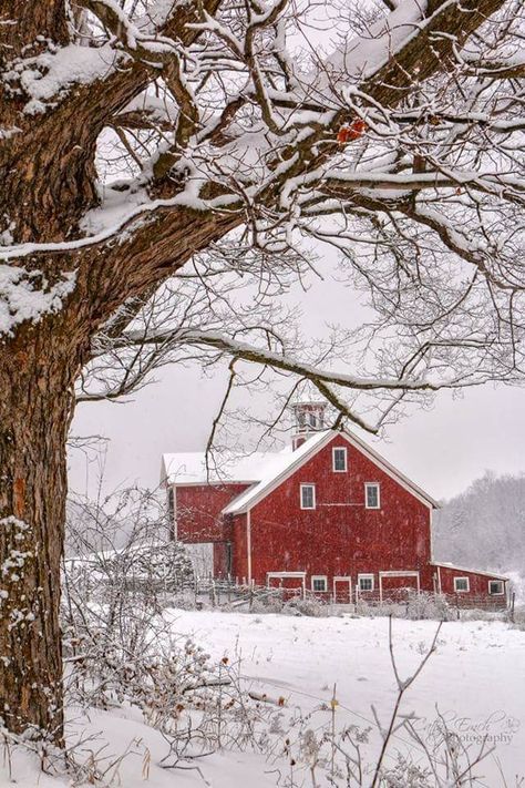 Dr Pol, Canadian Quilts, Winter Stickers, Vive Le Vent, Beautiful Winter Scenes, Barn Pictures, Country Barns, Barn Painting, Winter Cabin