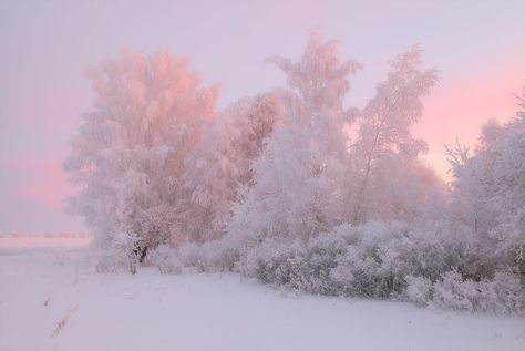 Winter sunrise in gentle tones Winter Veil, Planer Cover, Winter Sunrise, Winter Princess, Winter Scenery, Snowy Day, Jolie Photo, Winter Aesthetic, Christmas Aesthetic