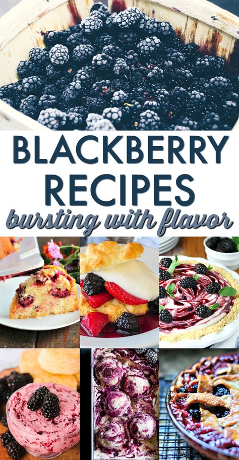 Blackberry Deserts Healthy, Recipes Using Blackberry Pie Filling, Fresh Blackberries Recipes, What To Make With Blackberries, Black Berries Recipes, Blackberry Baking, Fresh Blackberry Recipes, Blackberries Recipes, Blackberry Desserts