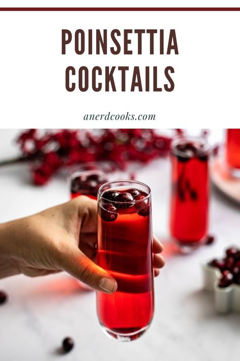 Poinsettia Drink, Christmas Mimosas, Cranberry Mimosas, Poinsettia Cocktail, Peppermint Vodka, Pure Cranberry Juice, Cranberry Mimosa, Cranberry Margarita, Moscow Mule Recipe