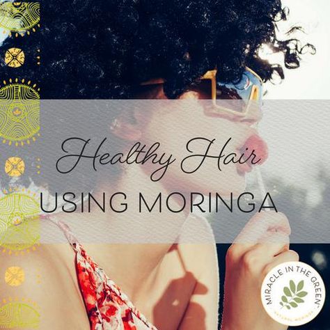 5 Ways to Grow Healthy Hair Using Moringa by Miracle in the Green Moringa For Hair, Grow Healthy Hair, Growing Healthy Hair, Moringa Powder, Moringa Oil, Tea Benefits, Stimulate Hair Growth, For Hair Growth, Oil Treatments