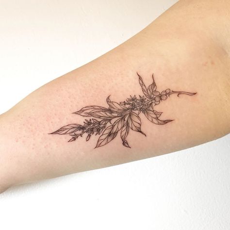 Artist Wei’s Instagram post: “For a coffee lover. Thanks for the supporting!!! • • • • #freehand #ink #inked #tattoos #tattooed #tattoo #blackwork #coffee #plants…” Coffee Tree Tattoo, Coffee Flower Tattoo, Coffee Plant Tattoo, Kentucky Coffee Tree, Tree Branch Tattoo, Roots Tattoo, Coffee Plants, Branch Tattoo, Mom Tattoo Designs