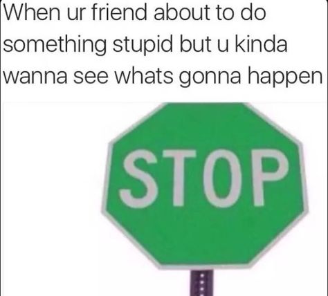 Green stop sign....you get it Green Stop Sign, Stop Sign, Intp, Instagrammer, What’s Going On, Funny Pins, Bones Funny, Funny Posts, Dankest Memes