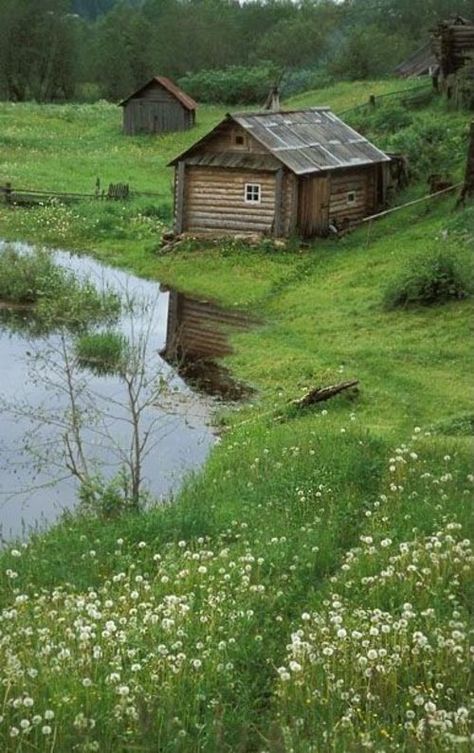 Cabin In The Valley Meadow Old Cabin, Tiny House Blog, Living Simply, Cottage Cabin, Small Cabin, A Pond, Cabins And Cottages, Cabin Life, House Landscape