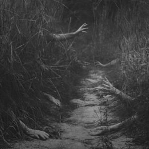 walk down that path i dare you! | Nightmare Fuel | Know Your Meme Creepy Photos, Creepy Images, The Dark Side, Dark Photography, The Grass, Creepers, Dracula, In The Woods, Dark Side