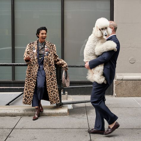 Poodle Fashion, Big Baby, Fashion Seasons, Look Cool, Designing Women, A Man, New Fashion, Winter Outfits, Leopard Print