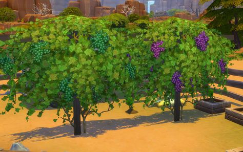 Sims 4 Vineyard Cc, Sims 4 Vineyard, Vineyard Trellis, Sims 4 Hair Male, Hair Male, Sims Builds, Wine Mom, Sims House Plans, Sims 4 Build