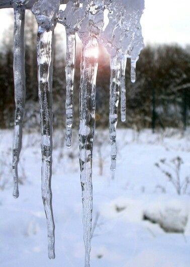 Winter Schnee, Evening Sun, I Love Winter, Winter Magic, Winter Beauty, Snow And Ice, Snow Queen, Winter Wonder, Winter Solstice