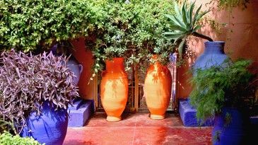 Mexican Patio Ideas, Majorelle Garden, Greek Garden, Moroccan Garden, Mediterranean Garden Design, Mexican Garden, Spanish Garden, Mediterranean Plants, Garden Vines