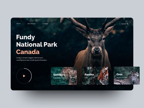 Fundy National Park, Corporate Website Design, Canada National Parks, Web Ui Design, Technology Wallpaper, Website Design Layout, Web Design Tips, Template Site, Ui Design Inspiration