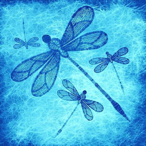 Beautiful dragonflies in blue by #wendytownrow on #redbubble Blue Tapestry, Diy Rock Art, Dragonfly Dreams, Blue Dragonfly, Blue Art Prints, Dragonflies Design, Wings Design, Decorating Inspiration, Blue Art