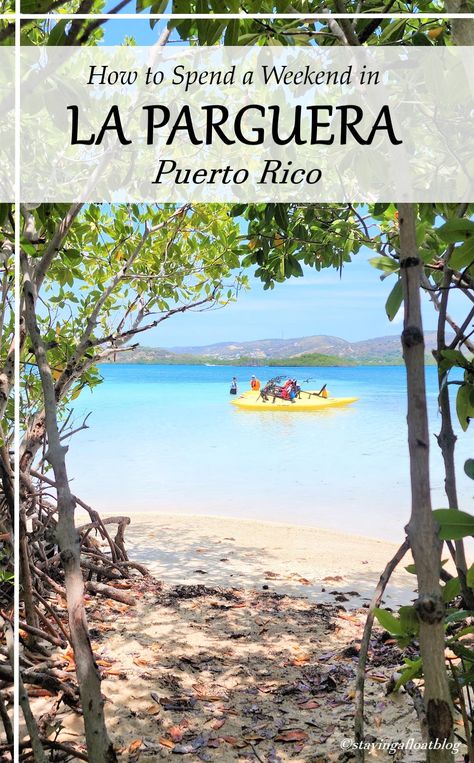 looking through the mangroves out to the caribbean sea Parguera Puerto Rico, Girls Trip Ideas, Puerto Rican Food, Puerto Rico Travel, Bioluminescent Bay, Puerto Rico Vacation, Rican Food, Beach Destinations, Romantic Weekend Getaways