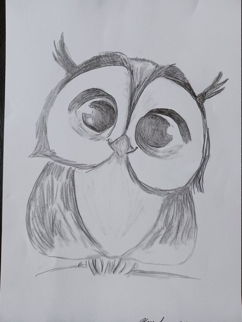 Cute Owl Drawing - Etsy UK Cartoon Owl Drawing, Cute Owl Drawing, Owl Sketch, Owl Drawing, Pen Ink Drawings, Cool Pencil Drawings, Owls Drawing, Illustration Pen And Ink, Easy Drawings Sketches