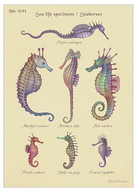 Sea Tattoo Sleeve, Tattoo Planning, Colorful Seahorse, Seahorse Tattoo, Seahorse Art, Black And White Art Drawing, Horse Tattoo, Cute Fantasy Creatures, Sea Dragon