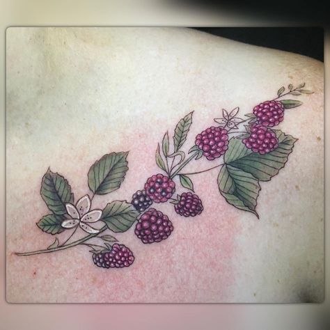 Raspberry Branch Drawing, Boysenberry Tattoo, Raspberry Plant Tattoo, Wild Raspberry Tattoo, Black Raspberry Tattoo, Berry Vine Tattoo, Raspberry Bush Tattoo, Raspberry Branch Tattoo, Fruit Vine Tattoo