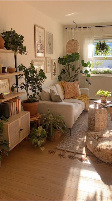 Living Room Decor Cozy Plants, Dark Grey Couch Accent Chair, Plant Style Living Room, Living Room Plant Aesthetic, Boho Living Room Grey Floor, Modern Boho Industrial Living Room, Cozy Plant Apartment, Cozy Living Room Plants, Living Room Designs Cozy Vintage