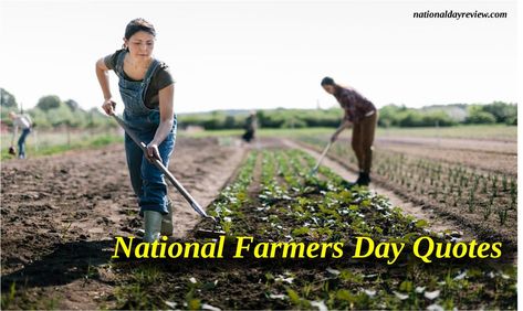 Farmers Day Quotes, National Farmers Day, Masanobu Fukuoka, Farmers Day, Bill Bryson, Modern Agriculture, Good Morals, Appreciation Quotes, Booker T