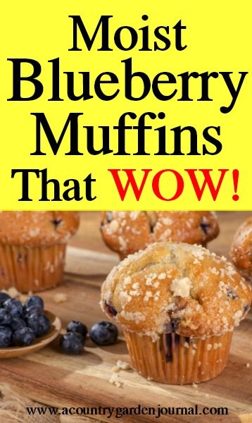 MOIST BLUEBERRY MUFFINS THAT WOW! - A Country Garden Journal Moist Blueberry Muffins, Coffee Turkish, Blackberry Muffin, Crumble Muffins, Easy Blueberry Muffins, Healthy Blueberry Muffins, Best Blueberry Muffins, Moist Muffins, Homemade Breads