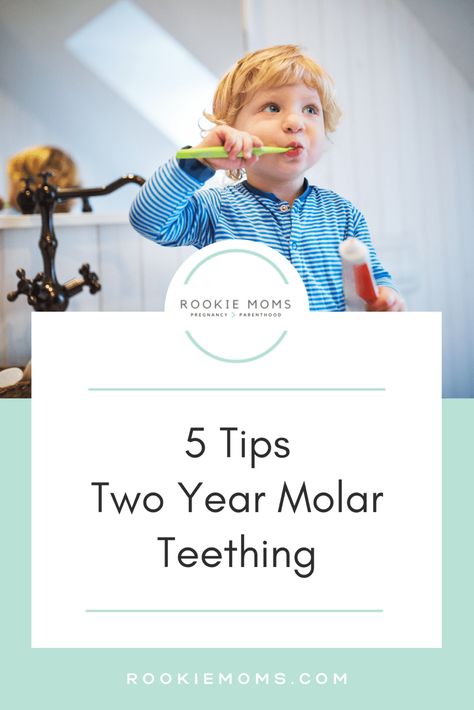 2 Year Molars Teething Tips, Teething Hacks For Toddlers, Toddler Teething Remedies, 2 Year Molars, Teething Hacks, Teething Signs, Baby Remedies, Teething Symptoms, Teething Toddler