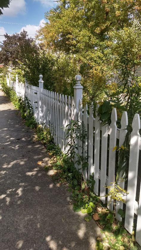 Gorgeous vintage white picket fence Cute Fence Ideas Front Yard, White Picket Fence Backyard, House With White Picket Fence, Front Garden Picket Fence, White Fence Aesthetic, Small White Picket Fence Garden, Scalloped Fence, Cottage White Picket Fence, Fence Aesthetic