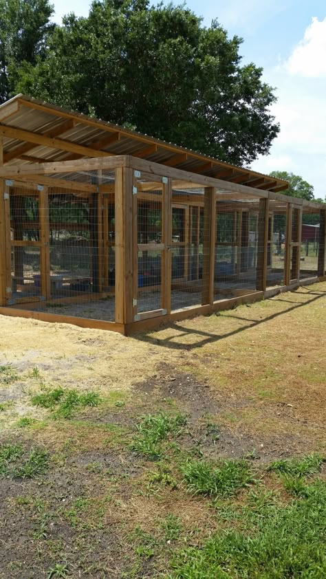 Como Plantar Pitaya, Poultry Farm Design, Cute Chicken Coops, Walk In Chicken Coop, Chicken Coop Garden, Chicken Barn, Backyard Chicken Coop Plans, Poultry House, Chicken Pen