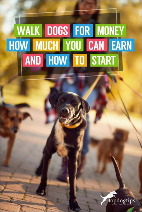 How To Start A Dog Walking Business, Dog Walking Business Cards, Side Hussle, Dog Farm, Formal Dog, Pet Sitting Business, Dog Walking Business, Pet Resort, Dog Business