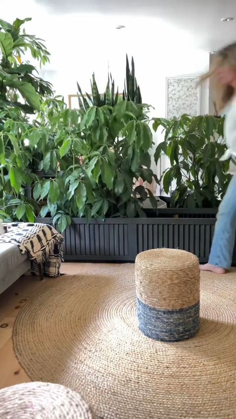 DIY Large Indoor Planter! PLANTERINA! #indoorplants #diy #plantcare #planterina #homedecor #creative #plants #fbreels #reels | Planterina | Planterina · Original audio Diy Planters Indoor, Planters Indoor, Furniture Painting Techniques, Highland Homes, Indoor Planter, Diy Planters, Quilting Techniques, Facebook Reels, Plant Lady