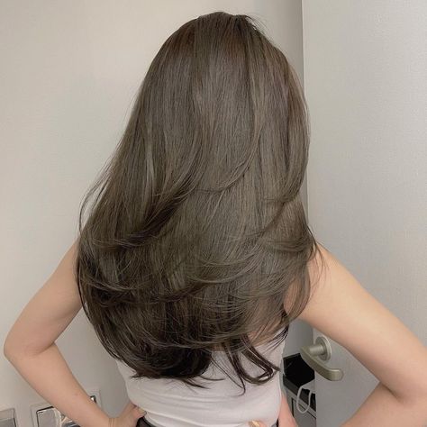 Korean Hair Color, Brown Hair Looks, Brown Hair Inspo, Layered Haircuts For Medium Hair, Hairstyles For Layered Hair, Haircuts For Medium Hair, Haircuts Straight Hair, Haircuts For Long Hair, Hair Inspiration Color