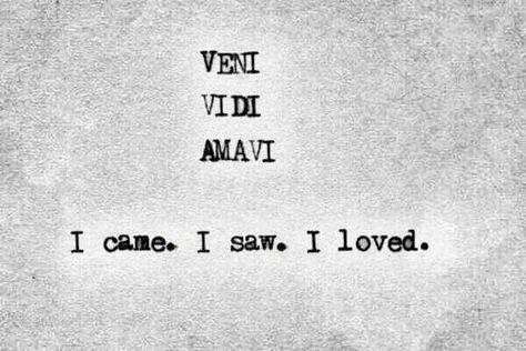 Veni, Vidi, Vici I came, I saw, I conquered Latin Quotes, Veni Vidi Vici, Dragon Age, Infj, Positive Thoughts, The Words, Beautiful Words, I Saw, Just In Case