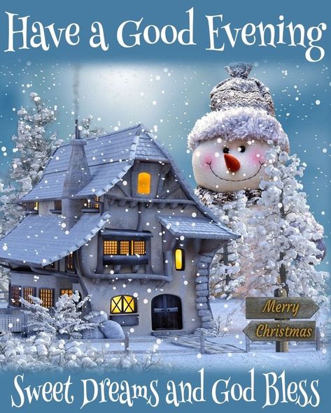 Christmas Morning Quotes, Evening Pics, Cute Good Night Quotes, Good Night Hug, Good Morning Christmas, Good Evening Messages, Best Christmas Wishes, Good Evening Wishes, Good Night Funny