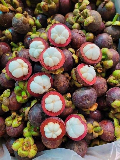 Indian Fruit Market, African Fruits, Mangosteen Fruit, Food Photography Fruit, Food Forest Garden, Philippines Food, Best Plants, Spicy Snacks, Plant Seeds