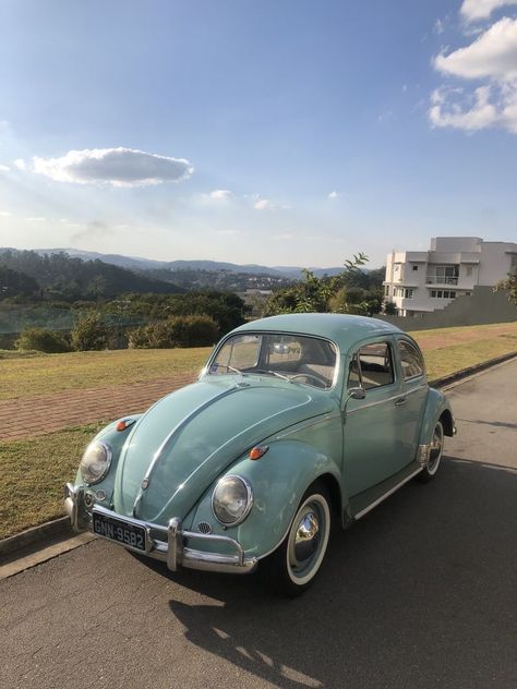 Old Beetle Car Aesthetic, Giant Garage, Aesthetic Bug, Old Volkswagen Beetle, Eve Brown, Cute Garage, Cars Cute, Volkswagen Vintage, Cars Volkswagen