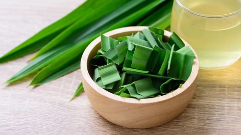 What Is Pandan? Benefits, Uses, Taste, and Substitutes Pandan Chiffon Cake, Air Lemon, Pandan Leaves, Fresh Spices, Aromatic Plant, Kaffir Lime, Culinary Herbs, Flavor Enhancers, Sticky Rice