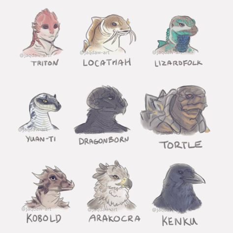 Dnd Dragonborn, Dungeons And Dragons Memes, Dnd Races, Creature Artwork, Creature Drawings, Dnd Ideas, Fantasy Races, Fantasy Stuff, Dnd Art