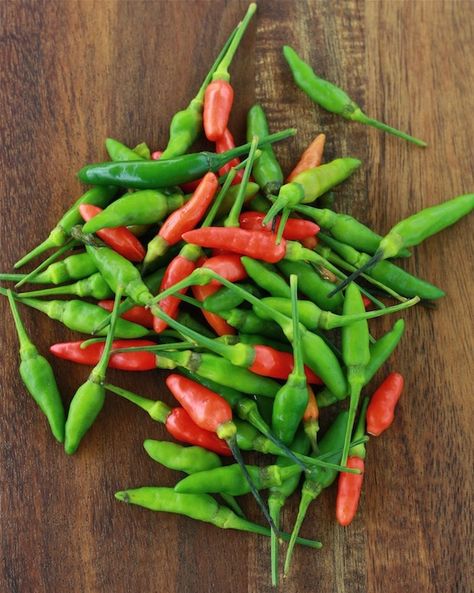 A food that increases metabolism and burns calories?  Add some spicy chili peppers into your next meal! Foods That Increase Metabolism, Thai Bird Chili, Birds Eye Chili, Chili Spices, Sweet Potato Chili, Chili Cook Off, Bbc Food, Spice Shop, Habanero Peppers