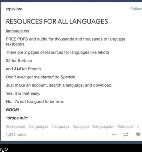 Quotes About Language Learning, Language Learning Tumblr, How To Study Languages, Language Notes Aesthetic, Linguistics Student Aesthetic, Language Learning Plan, Language Notebook, Language Journal, Language Tips