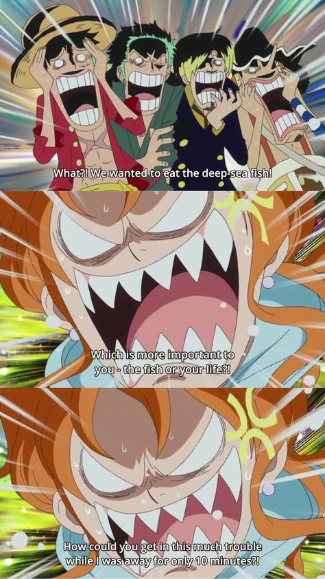 One Piece Funny Moments, Jokes And Puns, One Piece Cartoon, One Piece Meme, Art Outfit, One Piece Crew, Dark Material, Nami One Piece, One Piece Funny