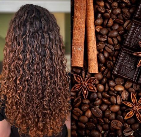 Golden Brown Highlights Curly Hair, Auburn Balayage Curly Hair, Red Brown Curly Hair, Hair Chestnut Brown, Brown Hair Curly, Auburn Brown Hair, Curly Balayage Hair, Curly Hair Color Ideas, Brown Auburn Hair